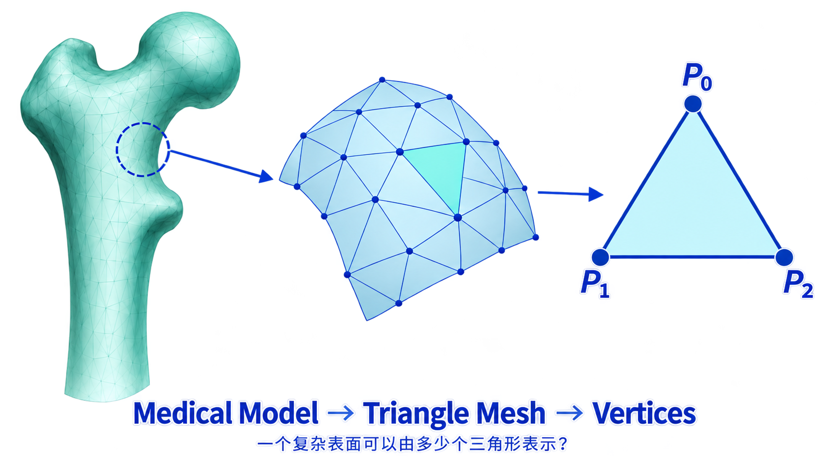 医学模型到Mesh